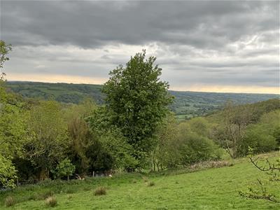 Picture 32